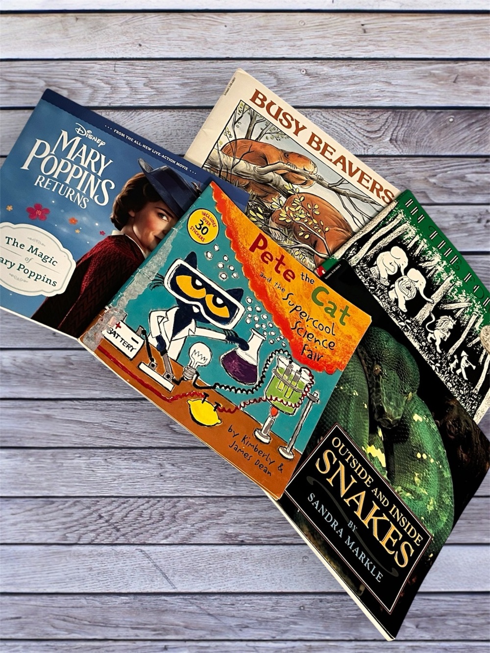 Assorted Children's Books Bundle